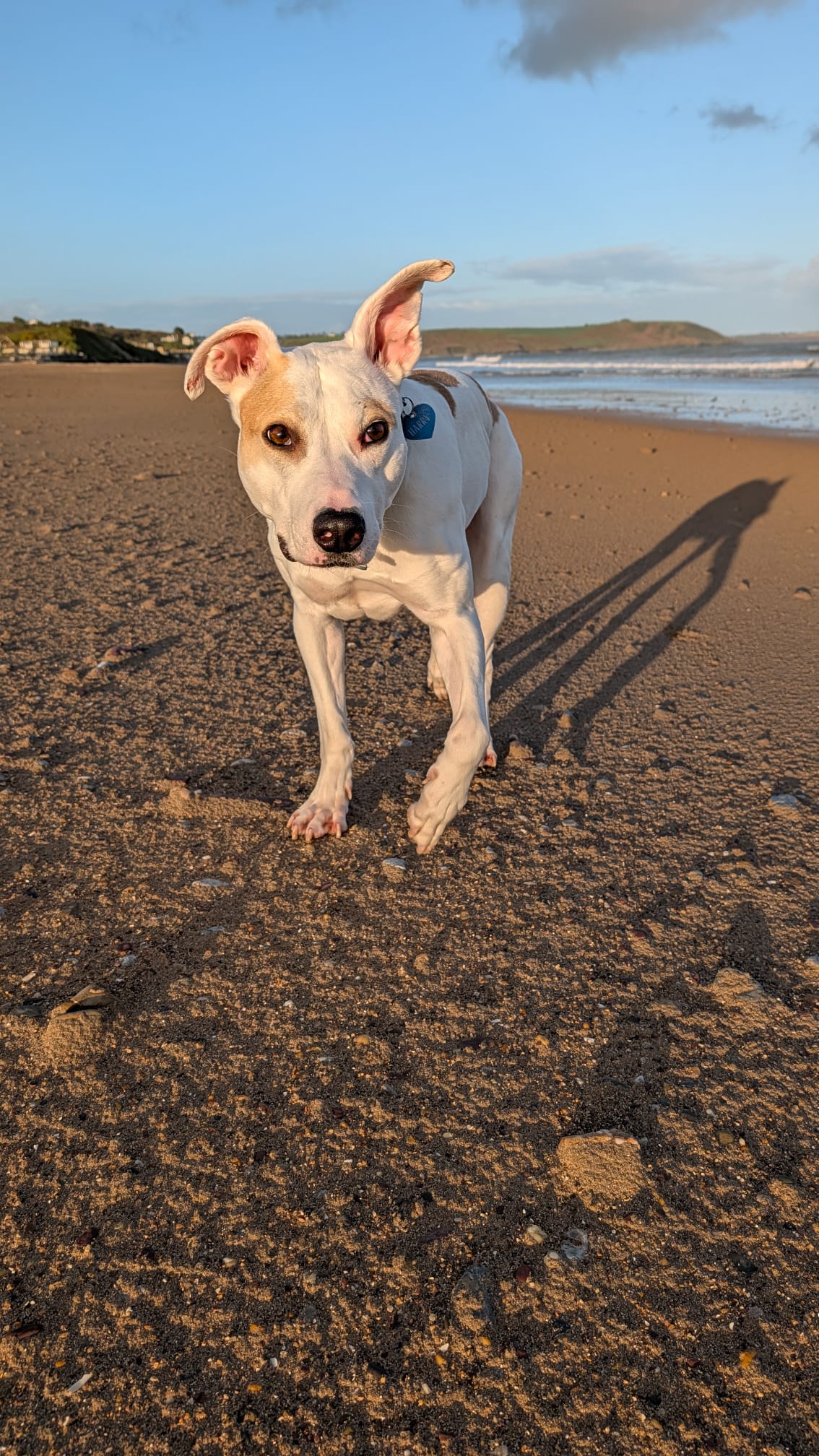 Beach days